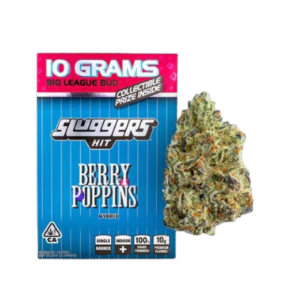 Berry Poppins Sluggers Hit 10g Flowers